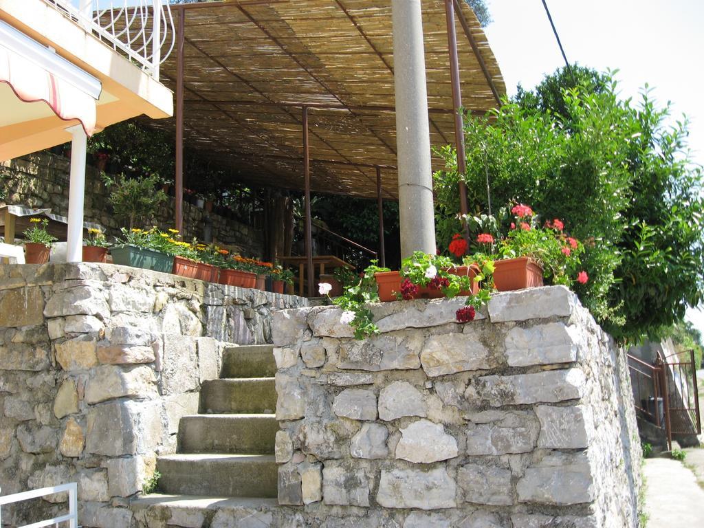 Apartments Olga تيفات المظهر الخارجي الصورة